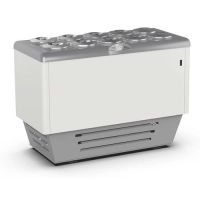 Dystrybutor do lodów | 10+10 tub | DVN10 | 1435x713x1030 mm